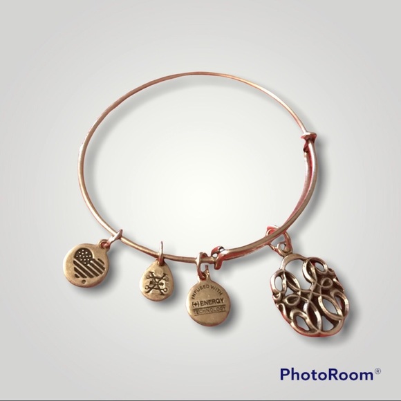 Alex and Ani Path of Life Expandable charm Bangle Bracelet / Color Silver - Picture 2 of 2